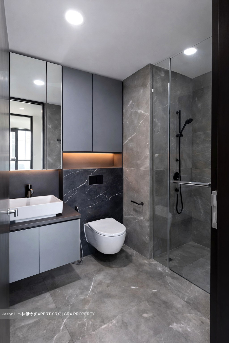 Irwell Hill Residences (D9), Apartment #546415101